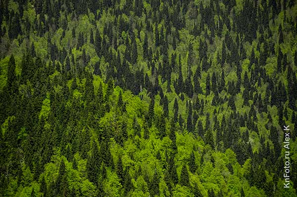 Алексей Князев - Портфолио фотографа, путешествия — фото 10